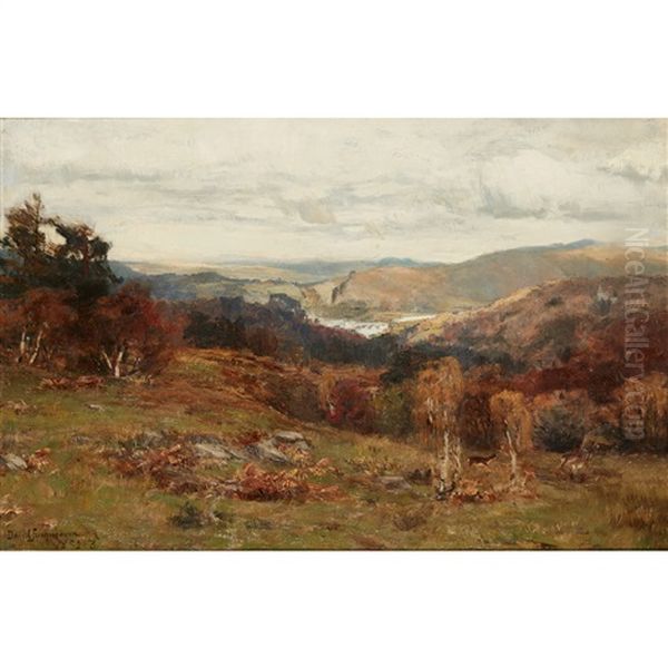 Hills Above Dunkeld - view 1