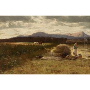 A Summer's Day In Galloway