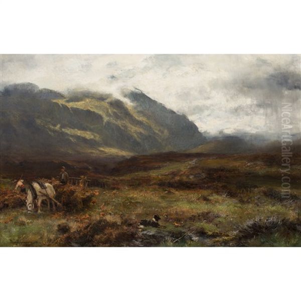 Amongst The Brackens - view 1
