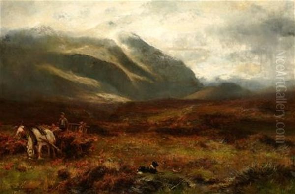 Amongst The Brakens - view 1