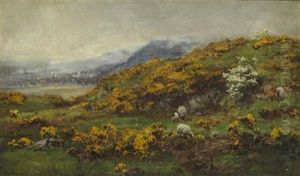 Gorse And May Gorse And May
