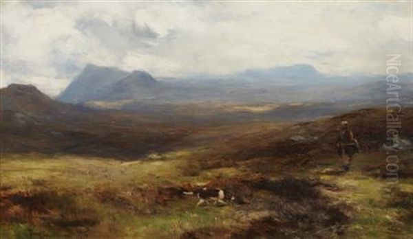Moorland In Atholl - view 1