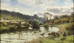 Sheep Plunging by David Farquharson