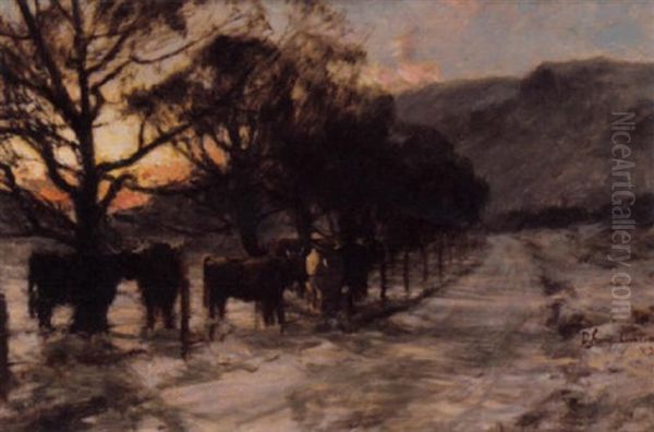 Highland Cattle In The Snow - view 1