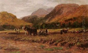 Potato Picking At Fortingall At The Head Of Glen Lyon