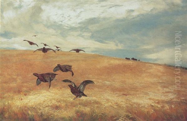 Grouse In Flight - view 1