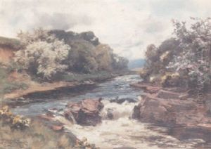 May Blossom