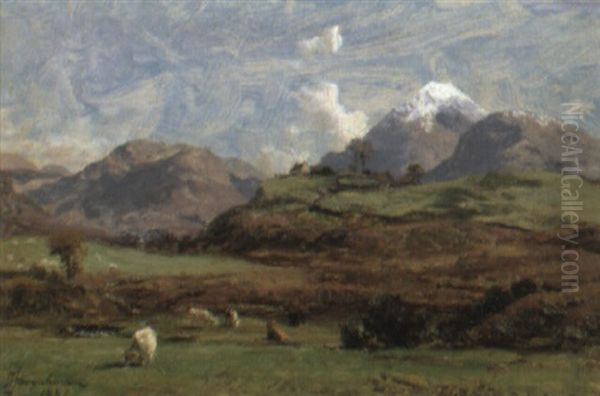 Glenorchy's Proud Mountain - view 1