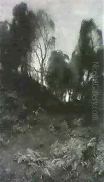 Deer In A Wood - view 1