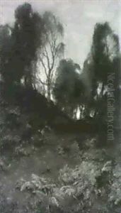 Deer In A Wood by David Farquharson
