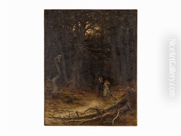 Lost In The Woods - view 1