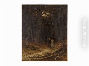 Lost In The Woods Lost In The Woods