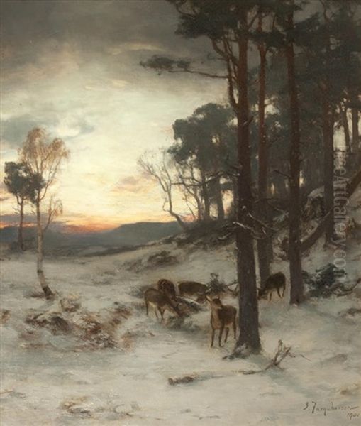 The Glow Of A Winter's Day - view 1