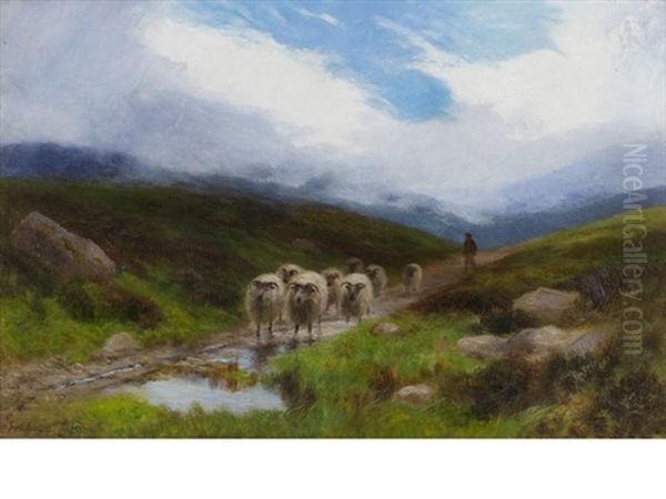 Driving The Flock - view 1