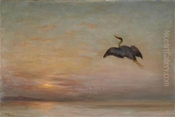 Heron In Flight - Sunset - view 1