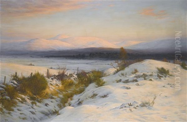 The Valley Of The Feugh - view 1