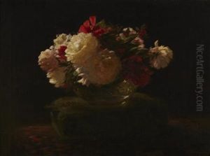 Peony Roses Peony Roses