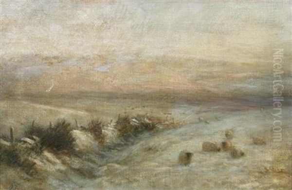 Sheep In The Snow At Sunset - view 1
