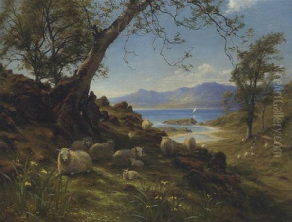 Sheep In A Springtime Landscape - view 1