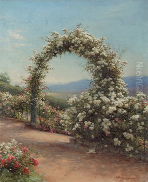 Roses - Finzean, Aberdeenshire - view 1