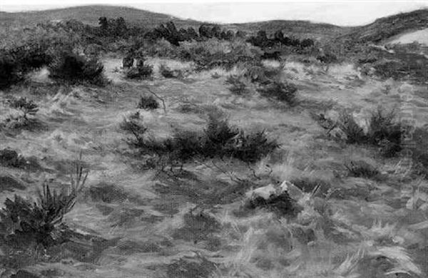 On Bodwin Moor, Cornwall - view 1