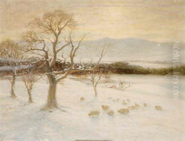 Finzean, Aberdeenshire - view 1