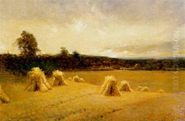 Corn Stooks - view 1
