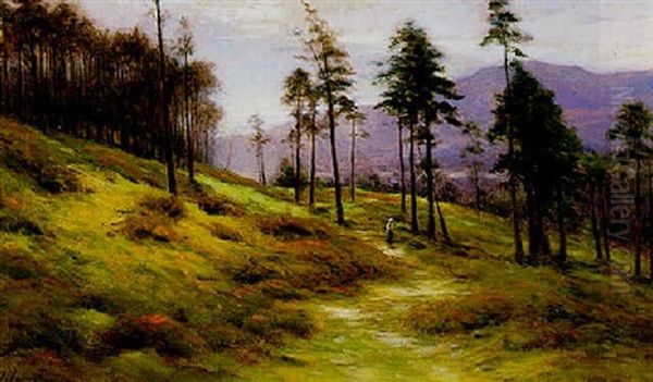 The Edge Of The Forest, Deeside - view 1