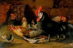 The Feathered Physician