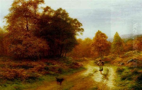 The Fern Gatherer - view 1