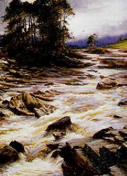 On The Feugh, Aberdeenshire - view 1