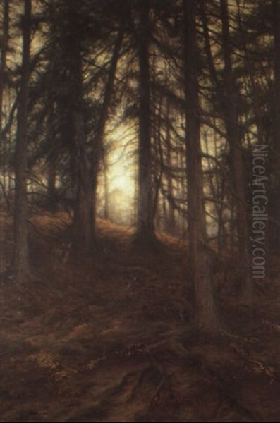 Deer And Rabbits In Wood - view 1