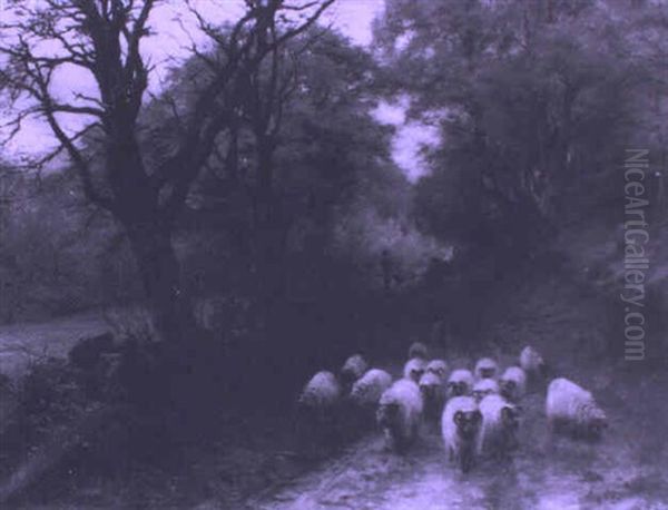 Shepherd Driving Sheep On A Woodland Lane - view 1