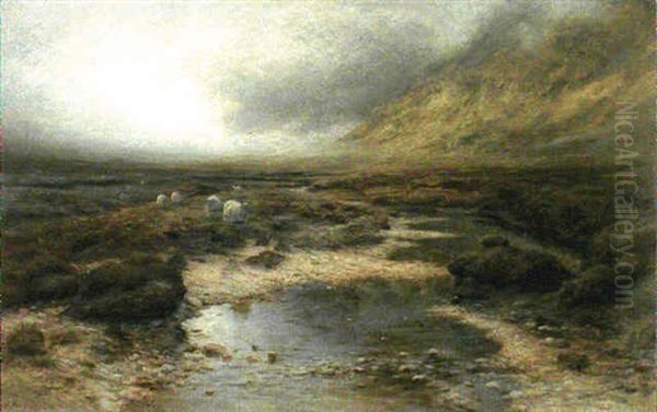 Mist In The Glen - view 1