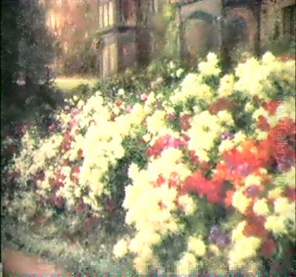 Flowering Herbaceous Borders - view 1