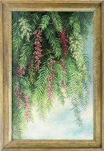 Blossoming Pepper Tree by Ellen Frances Farr