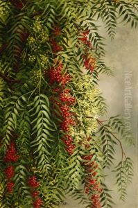 Blossoming Pepper Tree by Ellen Frances Farr