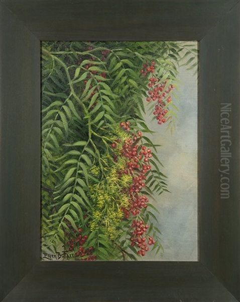 Pepper Tree - view 1