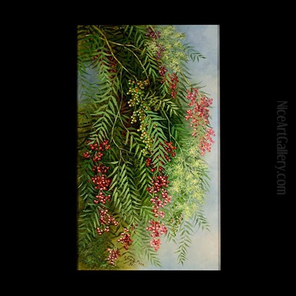 Pepper Tree - view 1