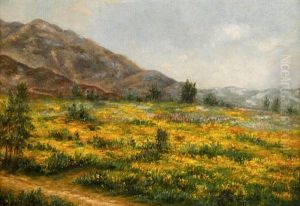 California Wildflowers by Ellen Frances Farr