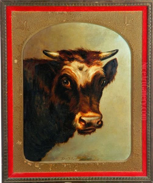 Portrait Of A Cow - view 1