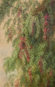 Pepper Tree Branches In Bloom by Ellen Frances Farr
