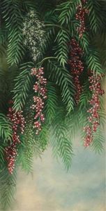 Pepper Tree by Ellen Frances Farr