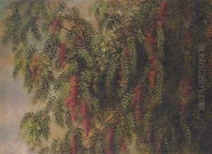 A Blossoming Pepper Tree by Ellen Frances Farr