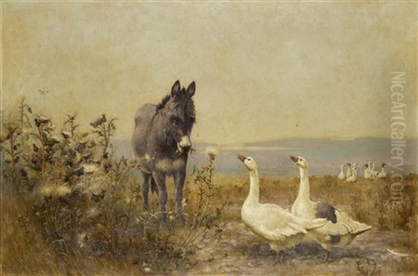 Donkey And Geese - view 1