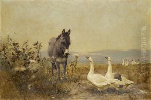 Donkey And Geese Donkey And Geese