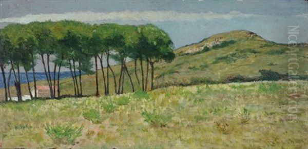 Monte Burrone - view 1