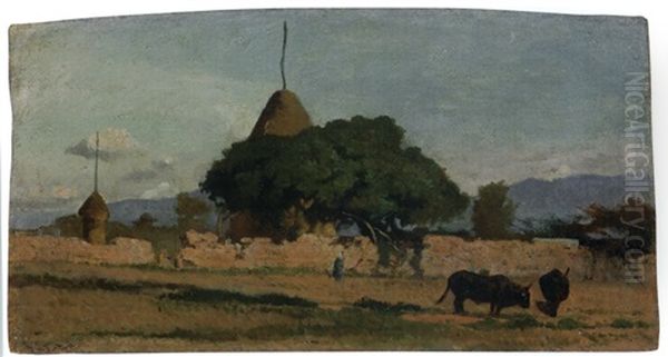Bufline In Tombolo, Campagna Con Bufali Al Pascolo - view 1