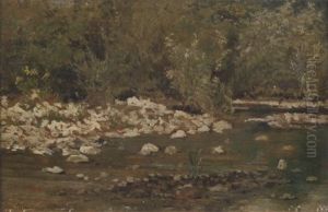 Ruscello In Maremma