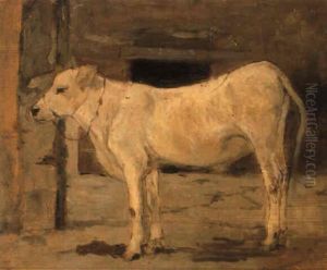 Vitellino Bianco by Giovanni Fattori